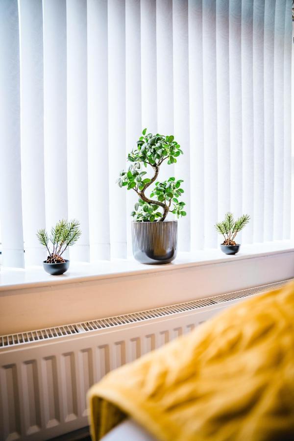 Aunt Mary'S Apartment เบลฟาสต์ ภายนอก รูปภาพ